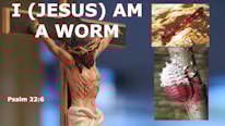 What does it mean that Jesus is a worm, Psalm 22:6?