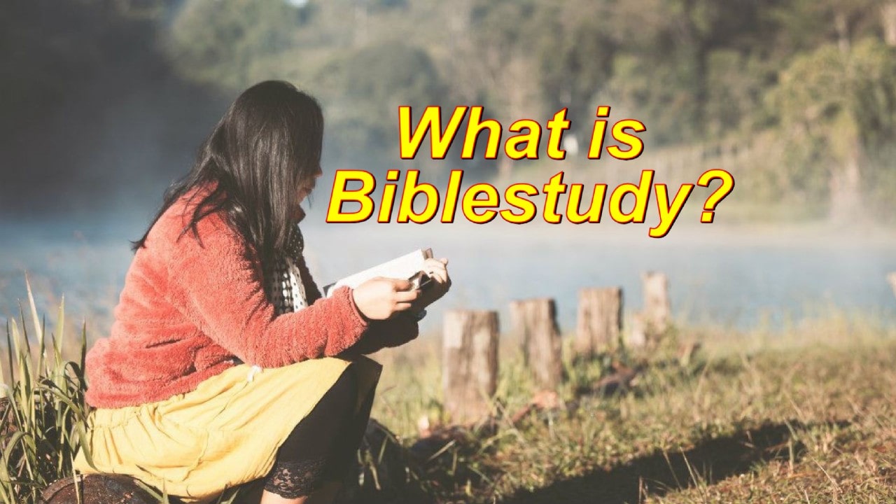 BibleStudy