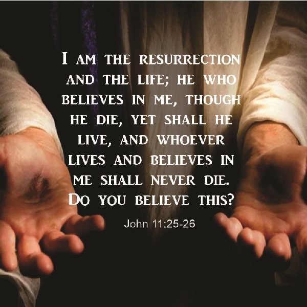 John 10:25-26