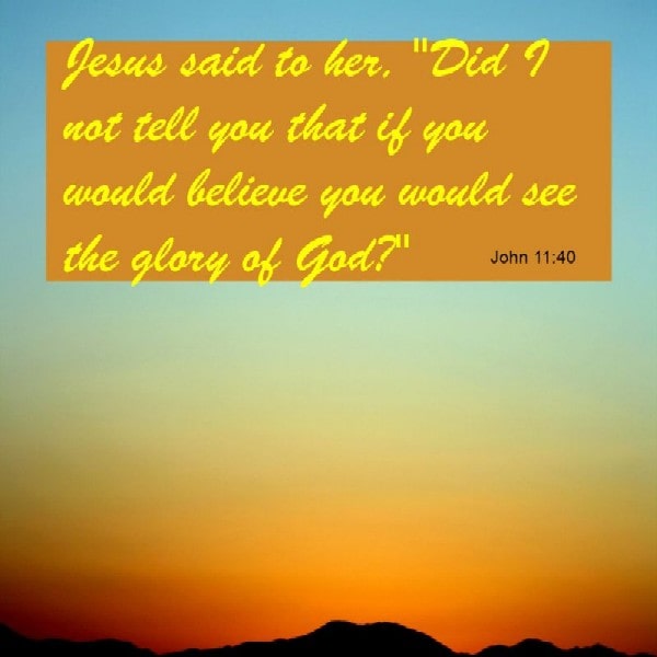 John 11:40