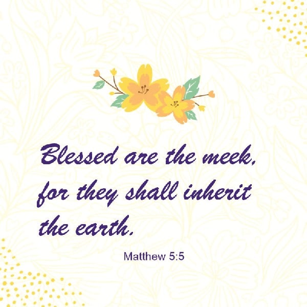 Matthew 5:5