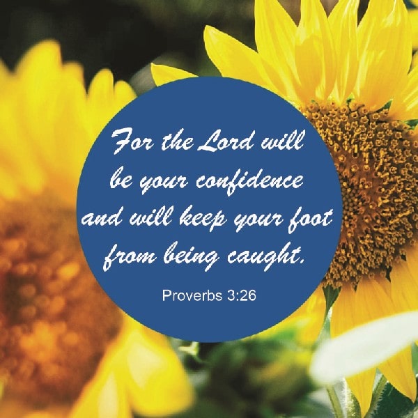 Proverbs 3:26