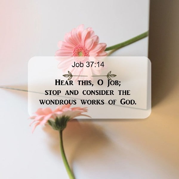 Job 37:14