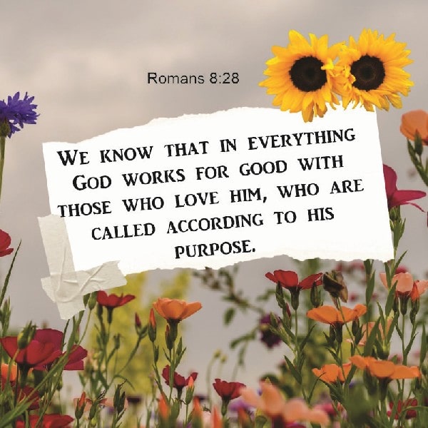 Romans 8:28