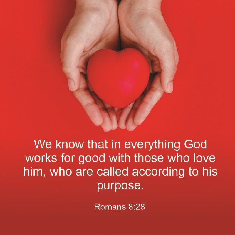 Romans 8:28