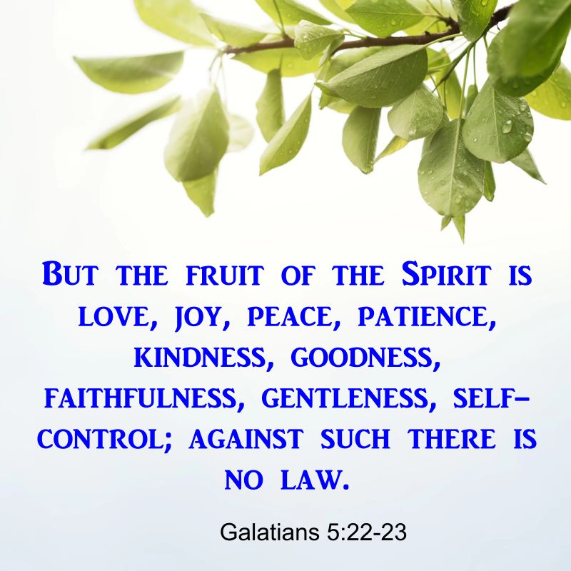 Galatians 5:22-23