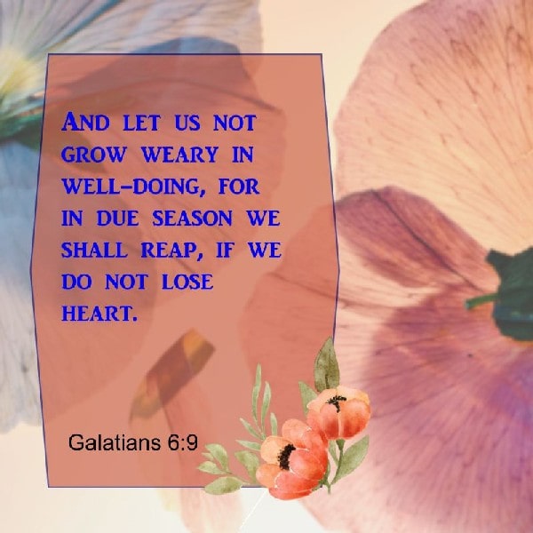 Galatians 6:9